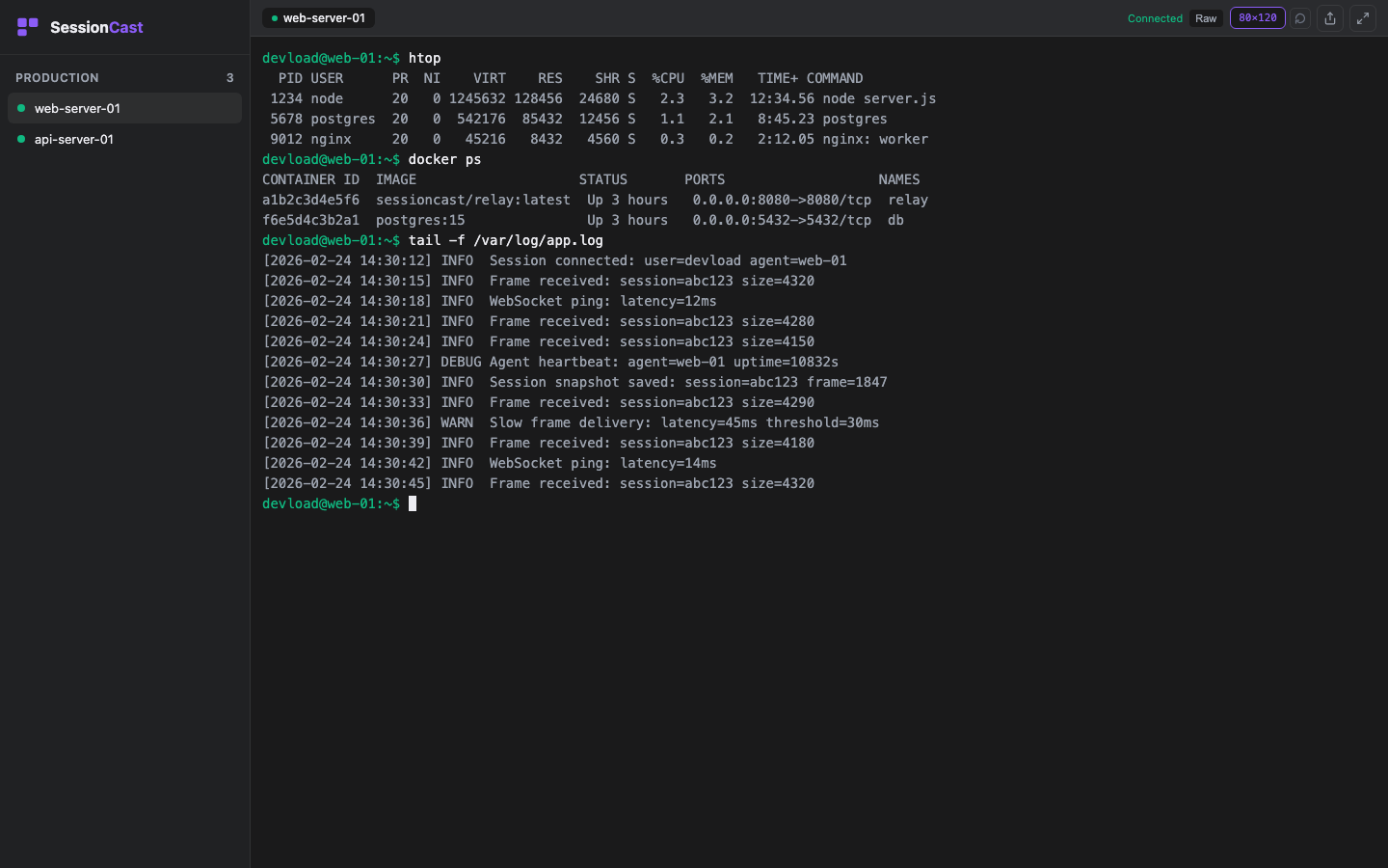 Terminal in manual mode showing expanded output